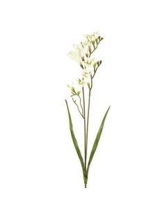 Freesia Spray 2 Heads Cream 69cm