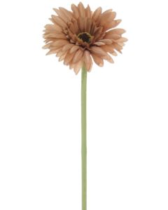 Small Head Gerbera Mink