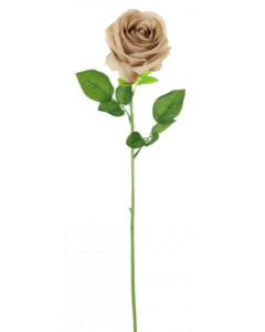 Silk Harper Rose Mink