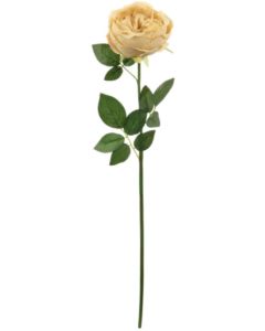 Single Vintage Rose Cappuccino