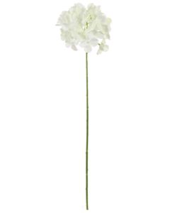 Thin Stem Hydrangea White