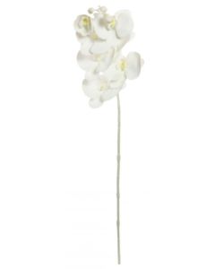 Single All White 7 Head Phalaenopsis Orchid Stem
