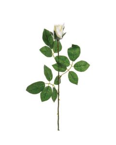 Premium Rose Bud Cream