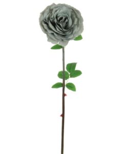 Silk Single Tudor Rose Dark Grey