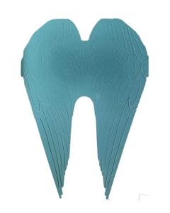 Angel Wings Foam Frame (Approx 3x2)