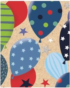 Gift Tags Pk12 Simon Elvin