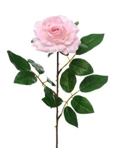Premium Rose Medium Soft Pink