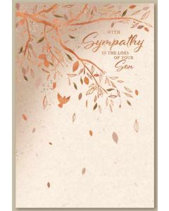 Loss of Son Sympathy C50 PK6 by Simon Elvin