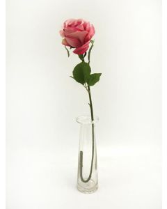 Prize Rose Med Pink 64cm