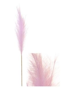 Stem Pampas Plume 118cm-Pink - 357998