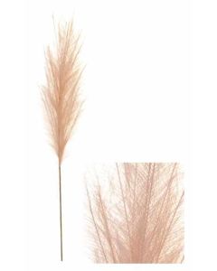 Stem Pampas Plume Beige