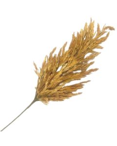 Stem Pampas Grass 100cm Copper