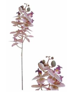 Flowerstem Orchid 78cm-Pink - 358527