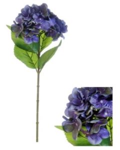 Flowerstem Hydrangea Purple