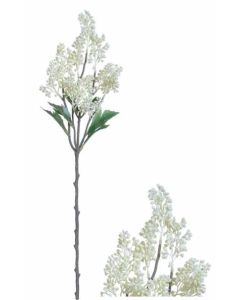 Flowerstem Mini Berry Spray Ivory
