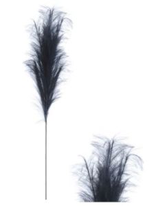 Stem Pampas Plume Black
