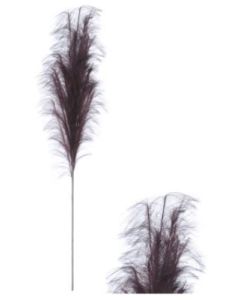 Stem Pampas Plume Burgundy