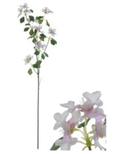 Flowerstem Wildflower White/Pink