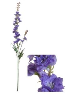 Flowerstem Delphinium Purple