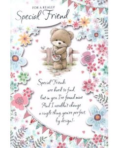 Special Friend C75 Pk6 Simon Elvin