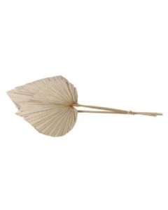 King Palmspear 3pcs Poly Natural