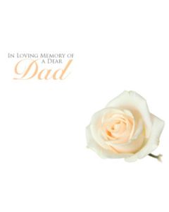 Large Cards In Loving Memory Of A Wonderful Dad