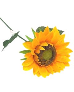 Giant Single Sunflower Yellow