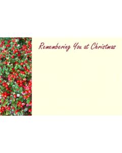 Remembering You At Christmas Flower Card Pk50