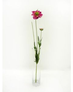 Scabiosa Spray Pink