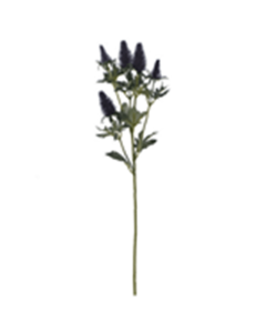 77.5cm Eryngium Purple