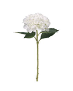 51cm Single Large Hydrangea Ivory