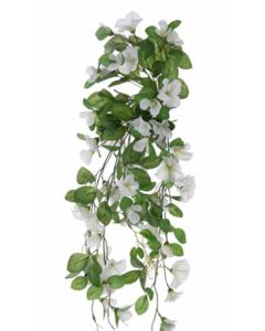 69cm Trailing Morning Glory Bush White