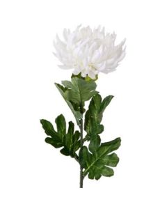 Single Large Chrysanthemum Ivory (Florist Supplies UK)