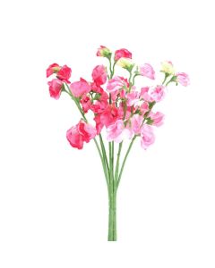 Sweetpea Bunch Pink