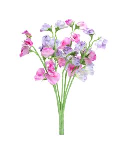 Sweetpea Bunch Lilac