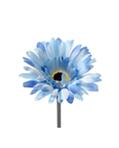 54cm Single Gerbera Blue
