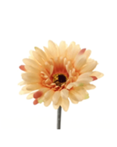 54cm Single Gerbera Peach