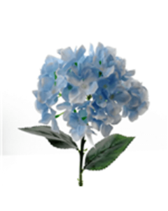 45cm Single Hydrangea Blue