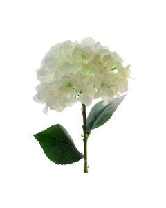 Hydrangea Stem Ivory