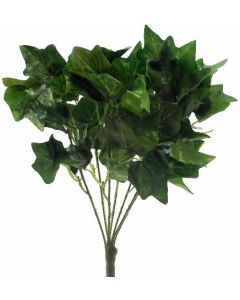 Mini Ivy Leaf Bush Green