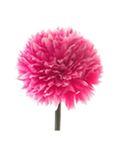 43cm Single Spiky Chrysanthemum Hot Pink