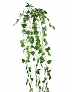 90cm Ivy Trail Veriegated