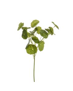 Geranium Leaf Spray