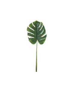 Large Single Monstera Leaf