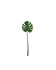 Small Single Monstera Leaf