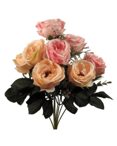 Peony Bush Peach/Pink