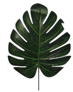 Split Philo Leaf Pk6