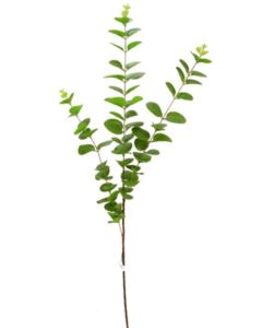 Eucalyptus Spray Green 83cm