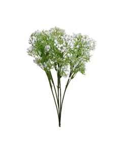 Gypsophila Spray White