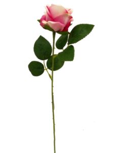 50cm SINGLE SMALL VELVET TOUCH OPEN ROSE PINK/CREAM